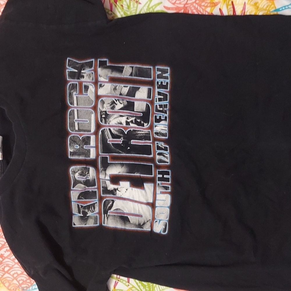 Vintage kid rock detroit graphic tour shirt